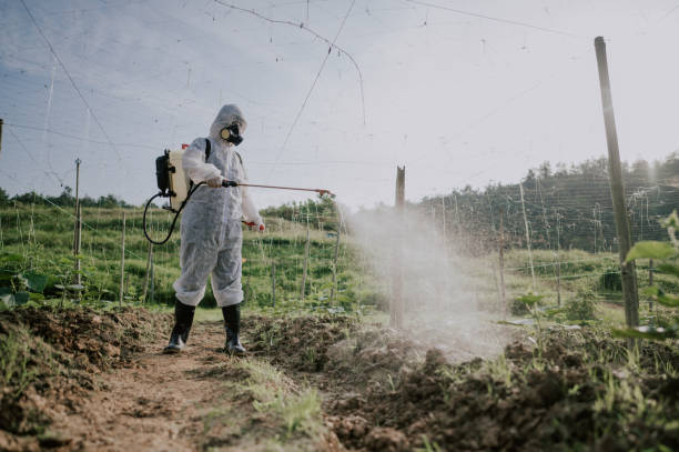 Best Best Pest Control Companies  in Timberlake, VA