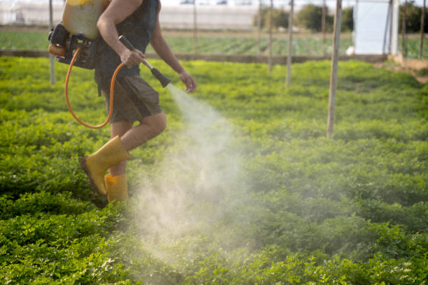 Best Residential Pest Control  in Timberlake, VA