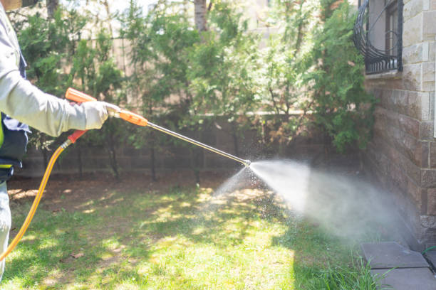 Best Bed Bug Extermination  in Timberlake, VA