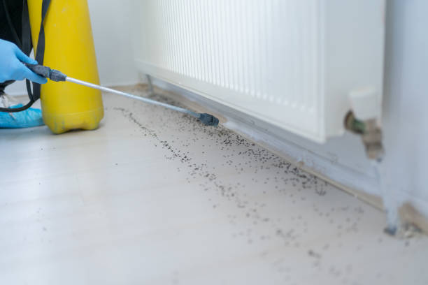 Best Commercial Pest Control Services  in Timberlake, VA