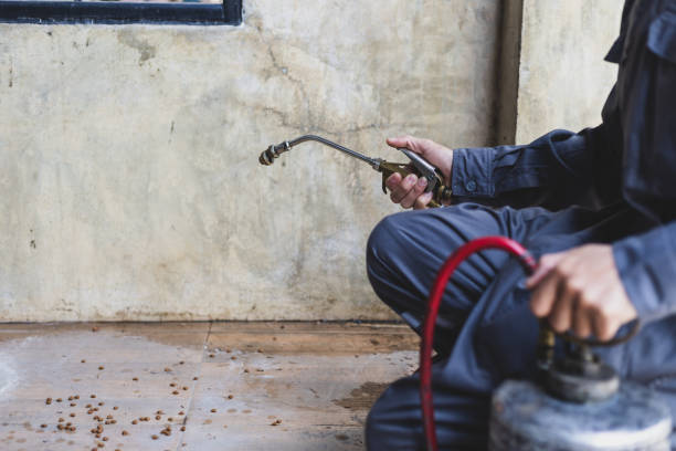 Best Best Pest Control Companies  in Timberlake, VA