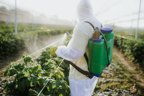 Best Wildlife Control Services  in Timberlake, VA
